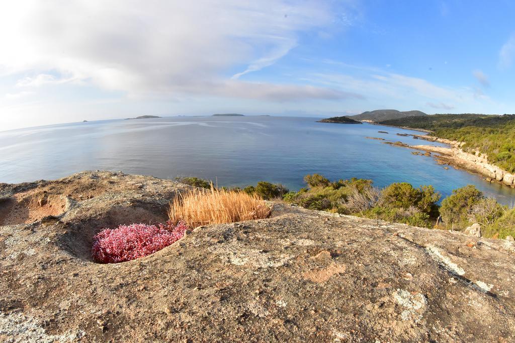 Village Naturiste La Chiappa Porto-Vecchio  Luaran gambar